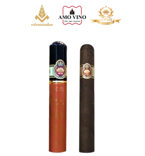 Thiết kế chưa có tên (5)