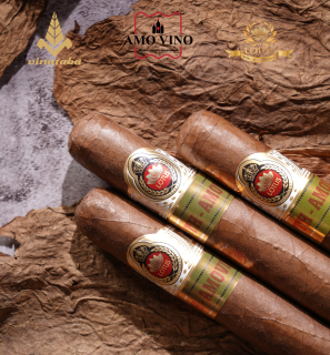 Thiết kế chưa có tên (10)