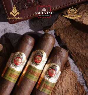 Thiết kế chưa có tên (16)