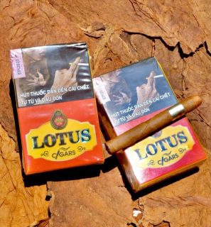 485639498_633078619509699_2939058831843197167_n